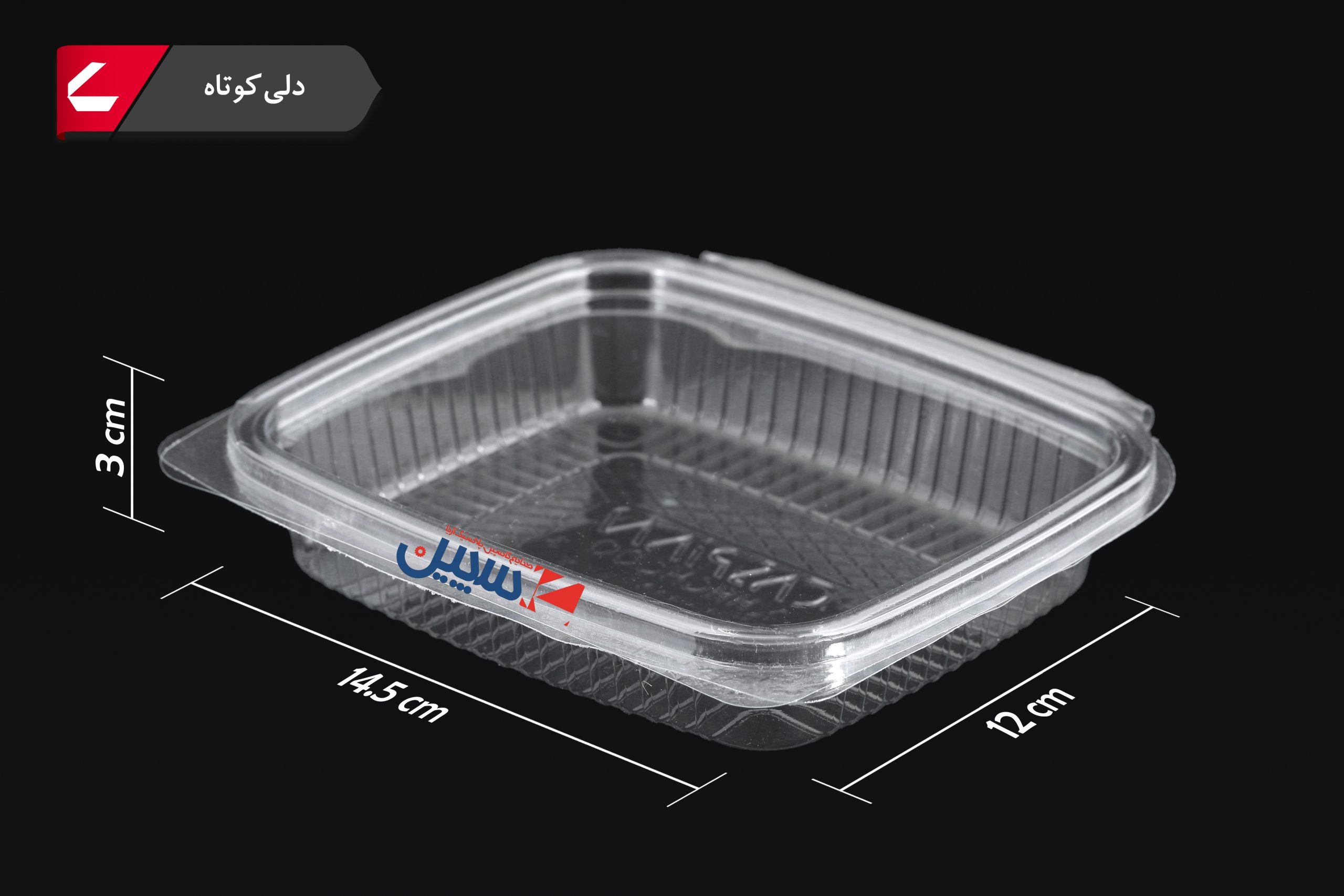 ظرف دلی کوتاه