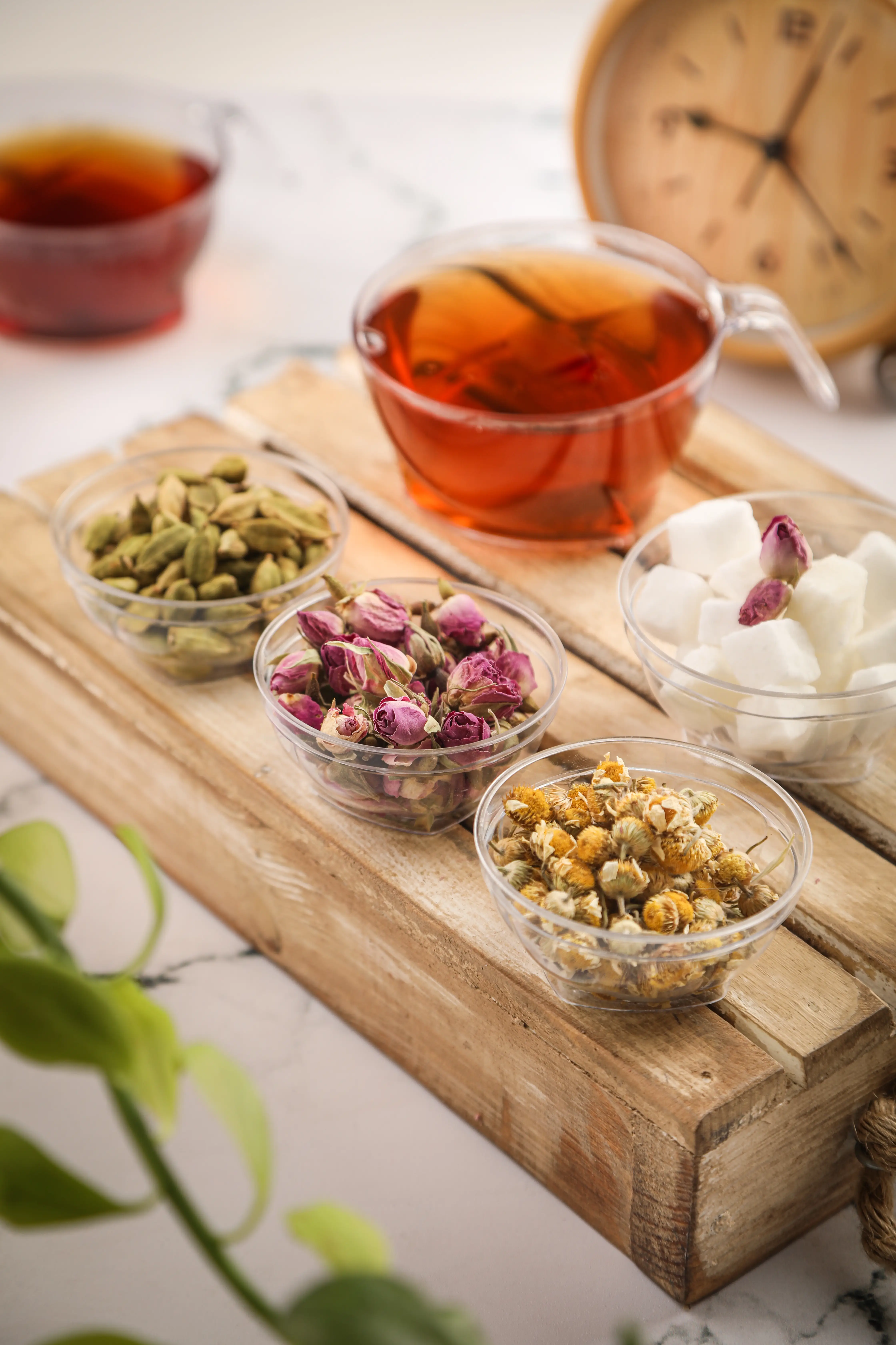 ظروف چندبار مصرف مدل هلنسا