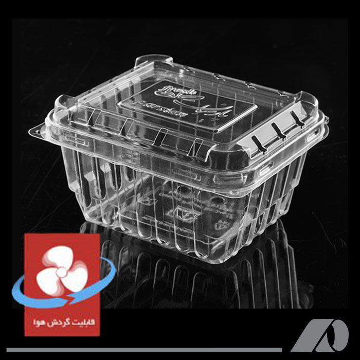 ظرف بلوبری