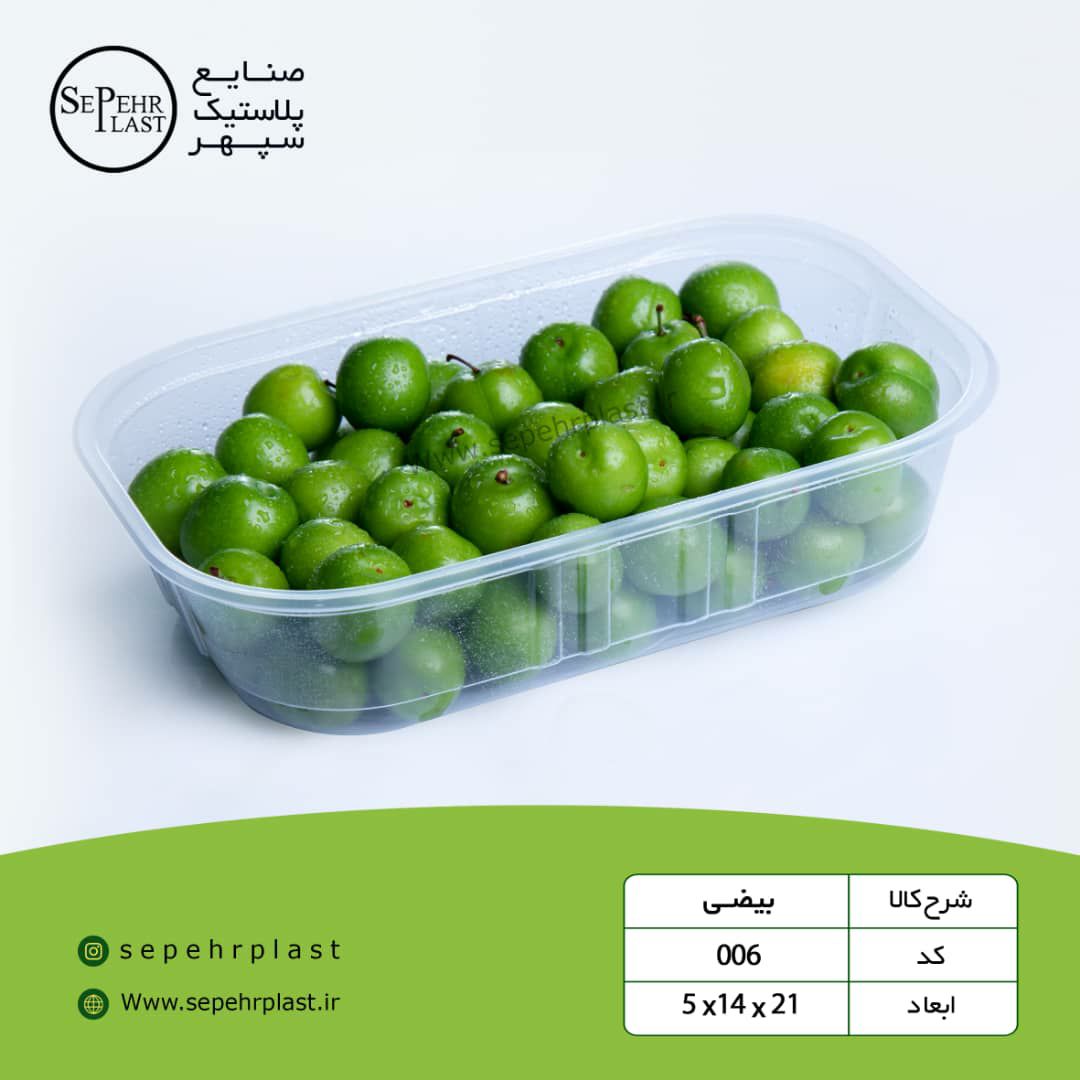 ظرف یکبار مصرف بیضی