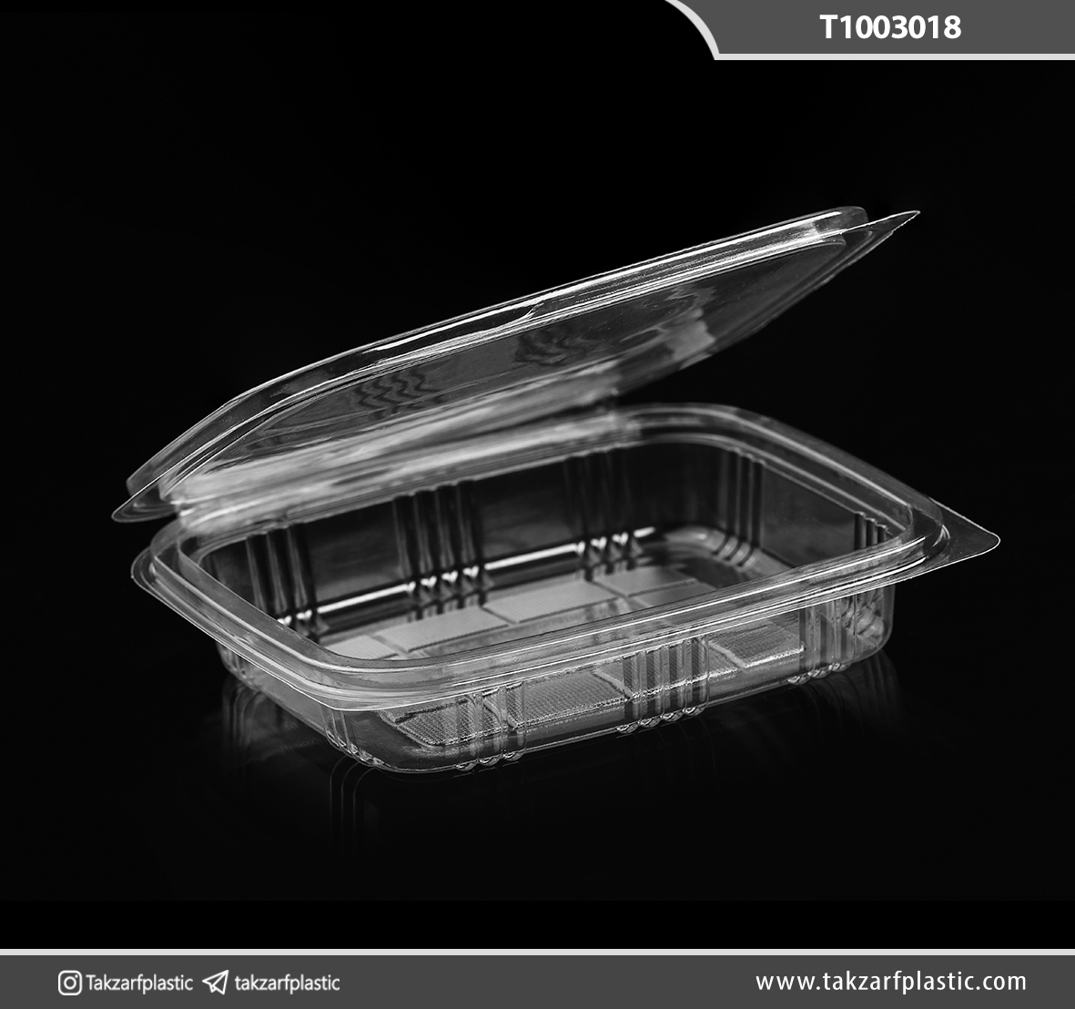 لانچ باکس یکبارمصرف دلی کوتاه