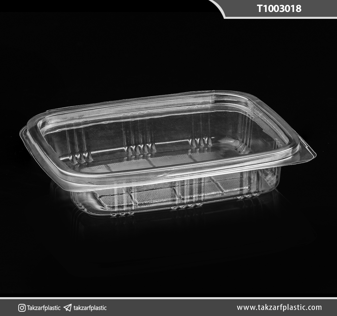 لانچ باکس یکبارمصرف دلی کوتاه