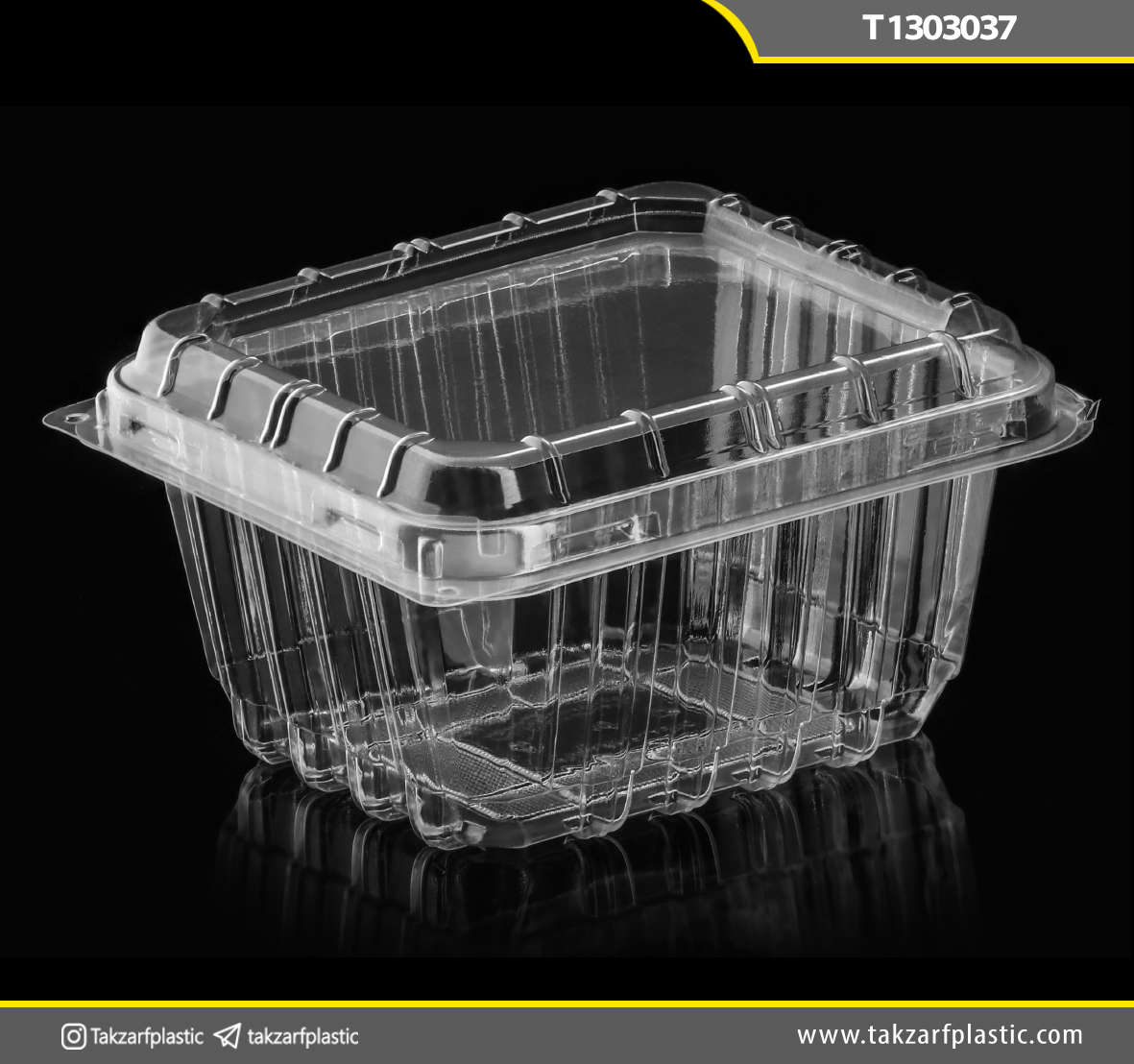 فروت باکس یکبارمصرف